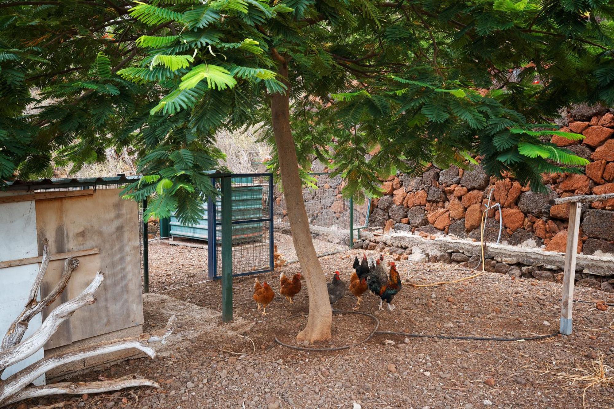 Villa Ecologica Quinta Tizones, Casa Aguacate *