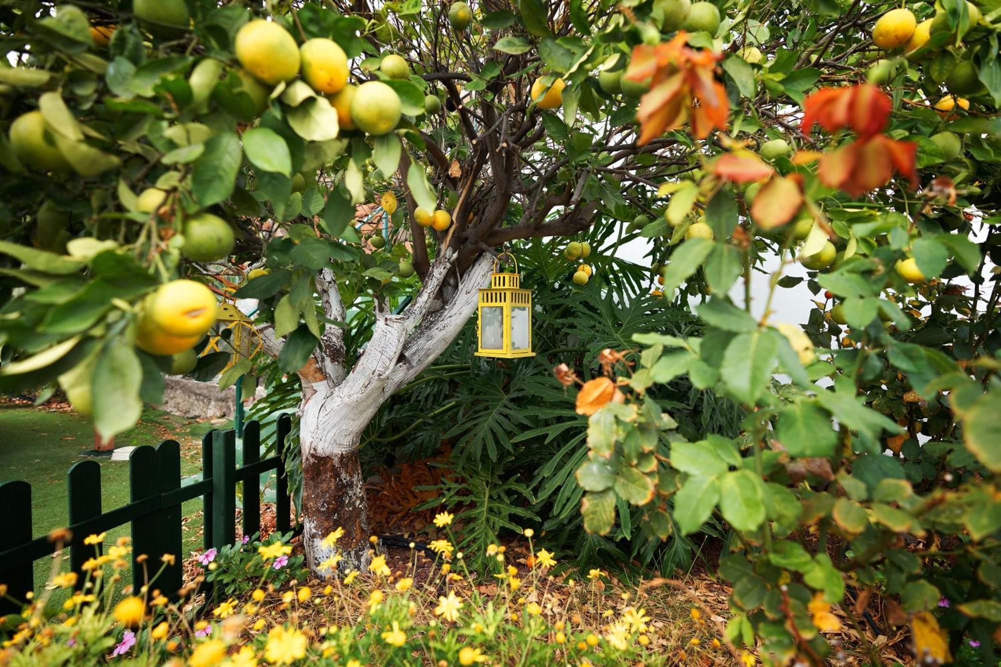 Villa Ecologica Quinta Tizones, Casa Aguacate