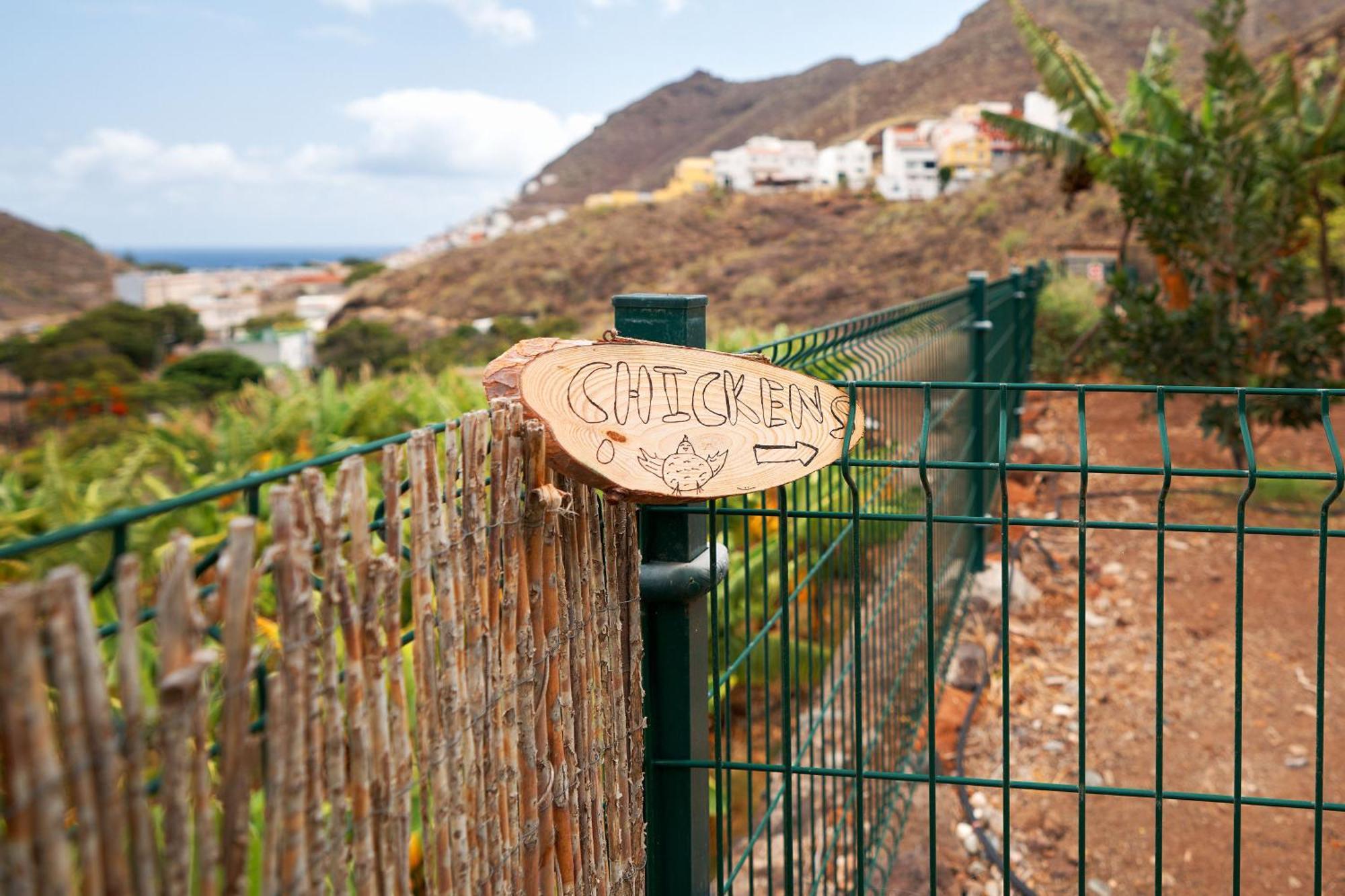 Ecologica Quinta Tizones, Casa Aguacate *